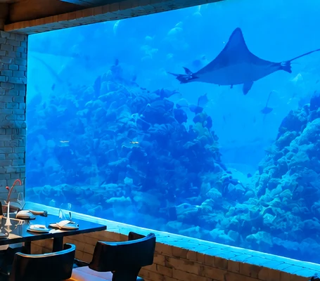 巴厘岛 Koral 海底餐厅水族景观窗与鳐鱼 — 沉浸式用餐