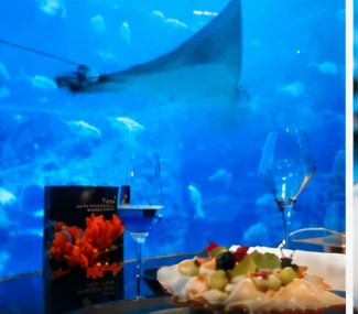 巴厘岛 Koral 海底餐厅用餐时欣赏海洋生物